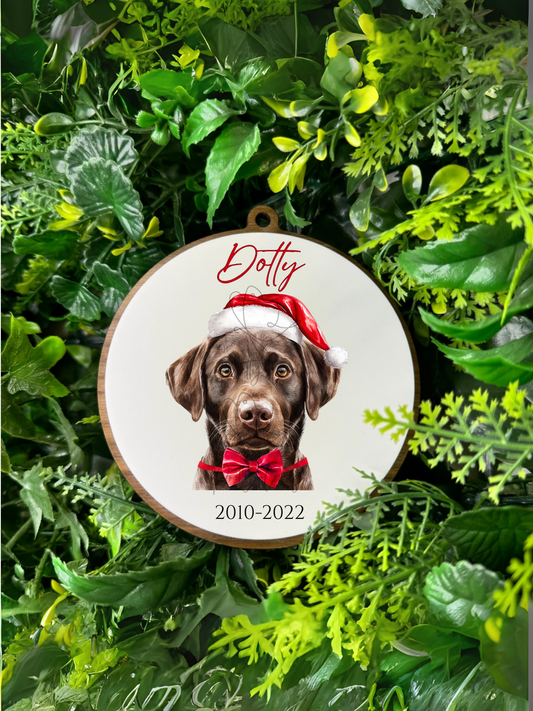 Pet Memorial Bauble